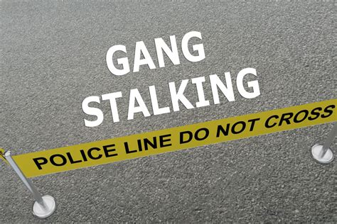 gang stalkers|gang stalker meaning.